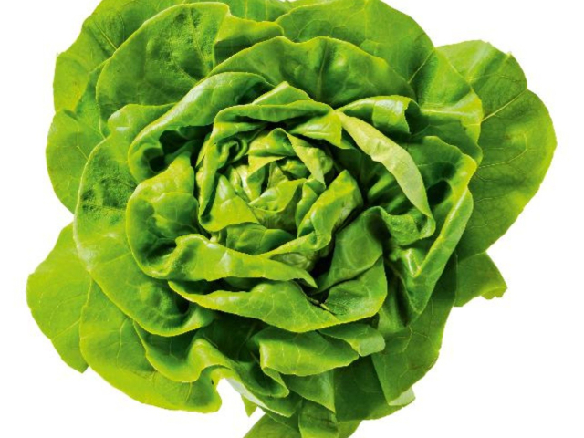 Kropsla